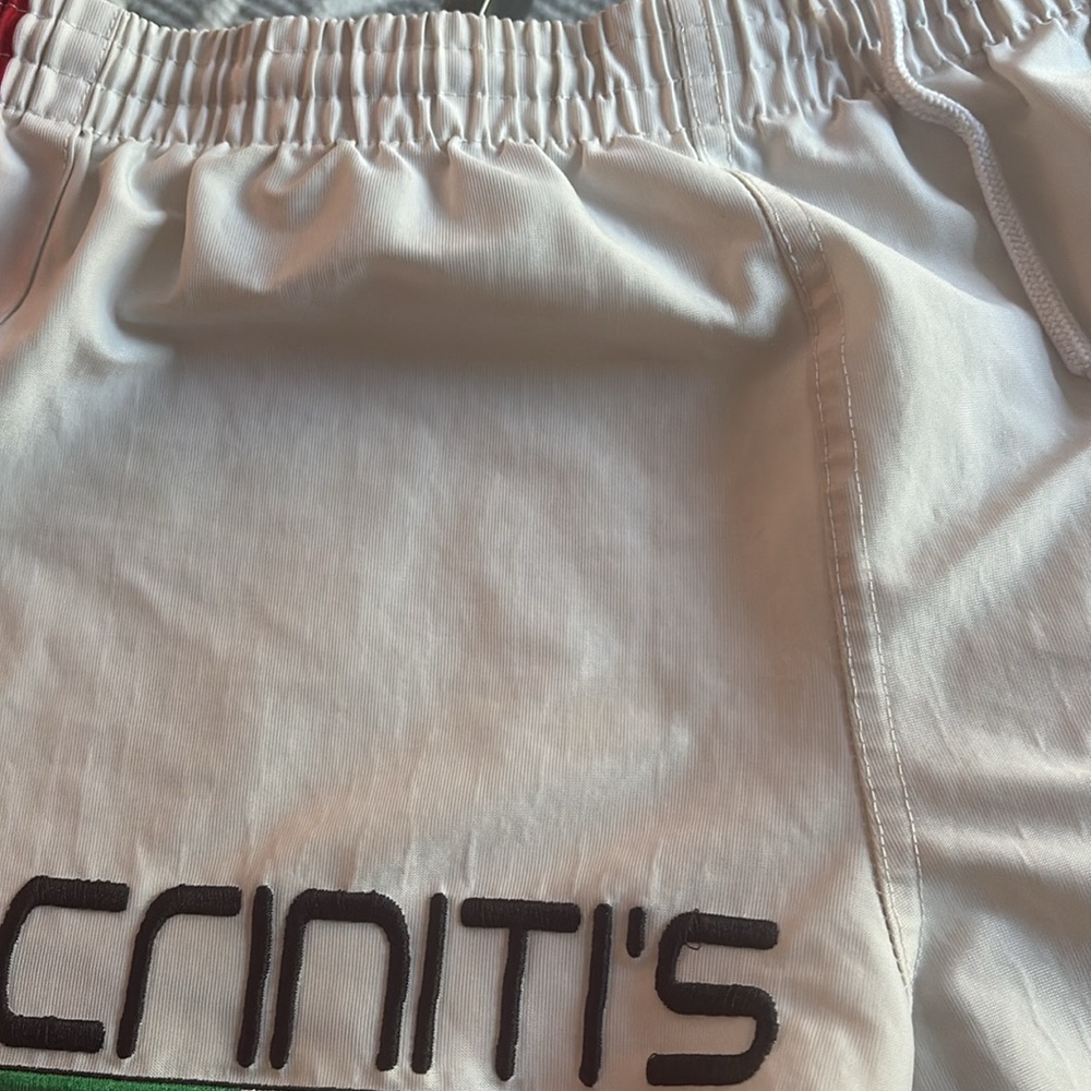 Sydney Roosters ISC Shorts - Picture 6 of 6